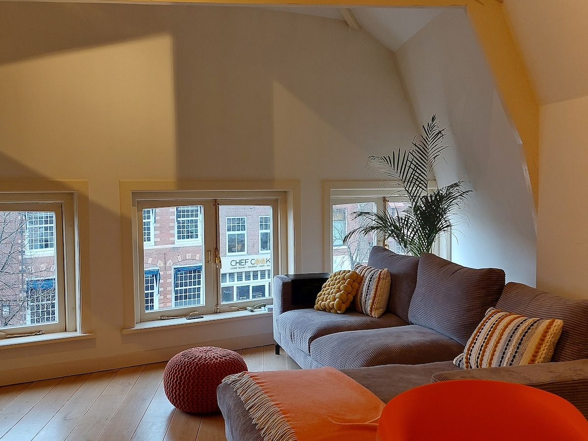 Ruim appartement in centrum Haarlem (A'dam 15 min)