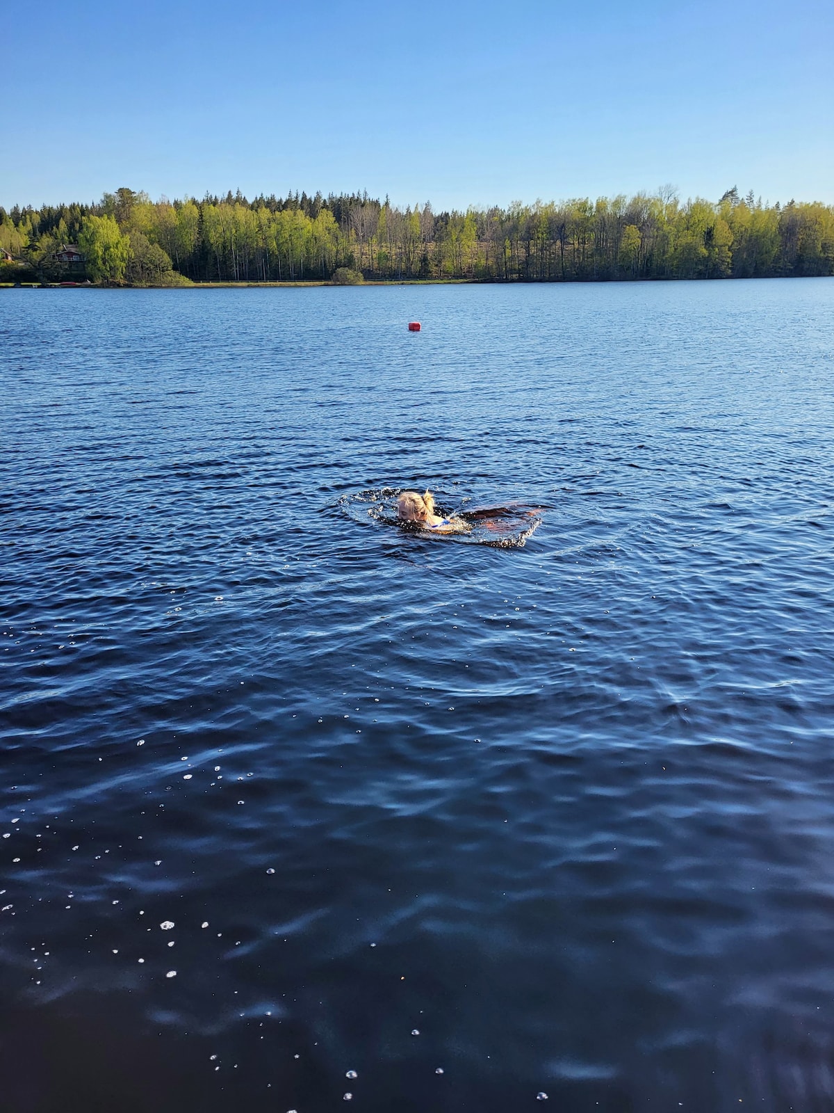 Bekväm familjestuga i natursköna Holmsjö