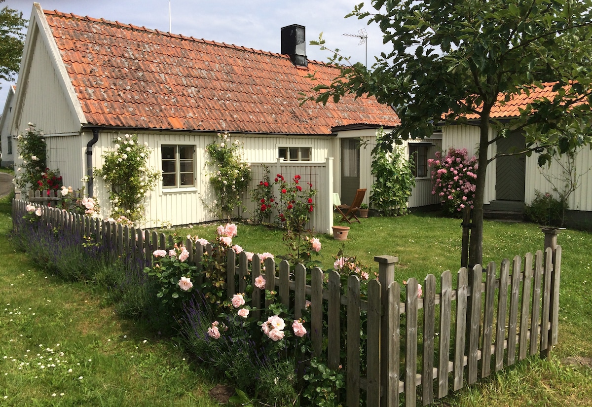 Litet hus på Österlen