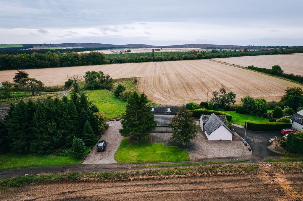 The Cosy Coo Shed