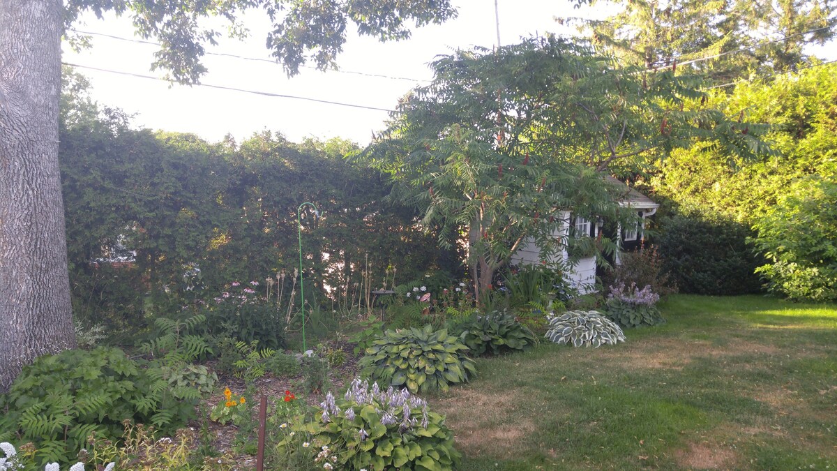 Cozy Space in Quebec City