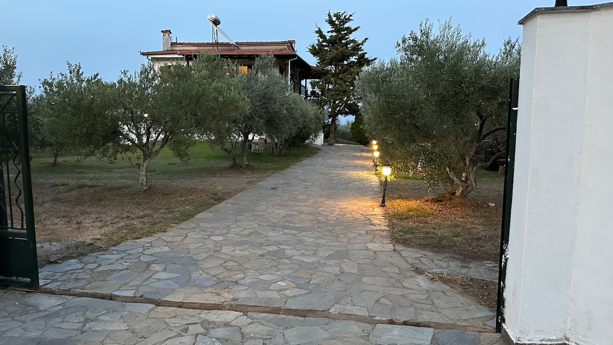 MaVitaPlace Olympos Olive Country House