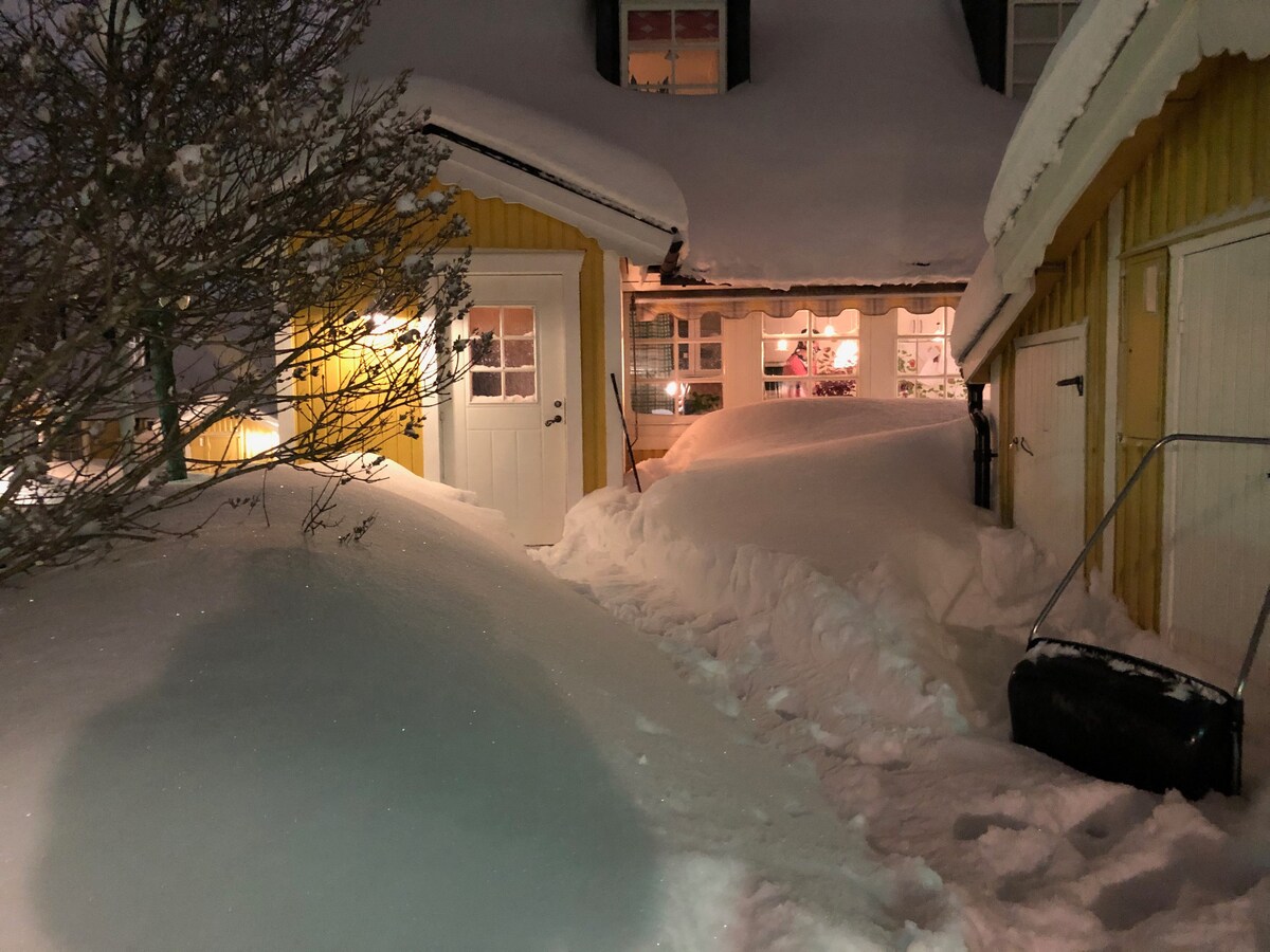 拉力世界锦标赛的完美住宿