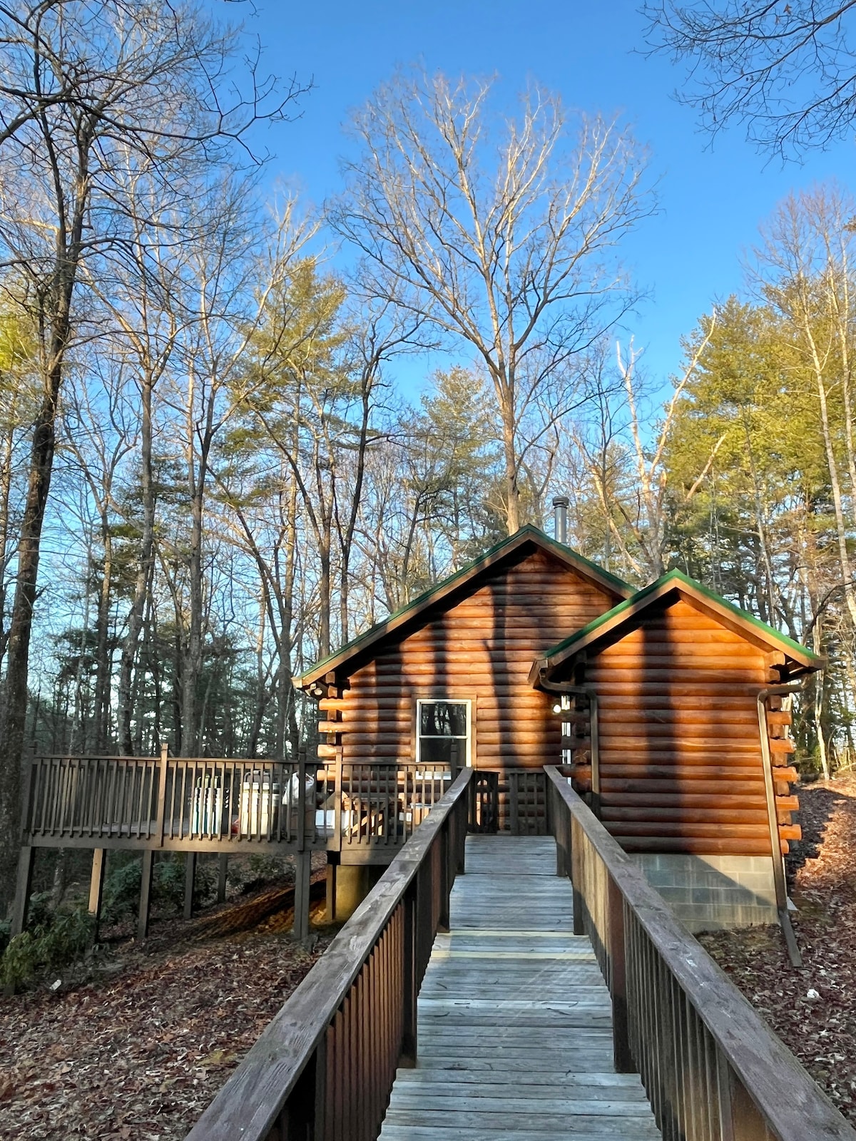 Mountain Laurel Cabin - Blue Ridge Mtn Retreat