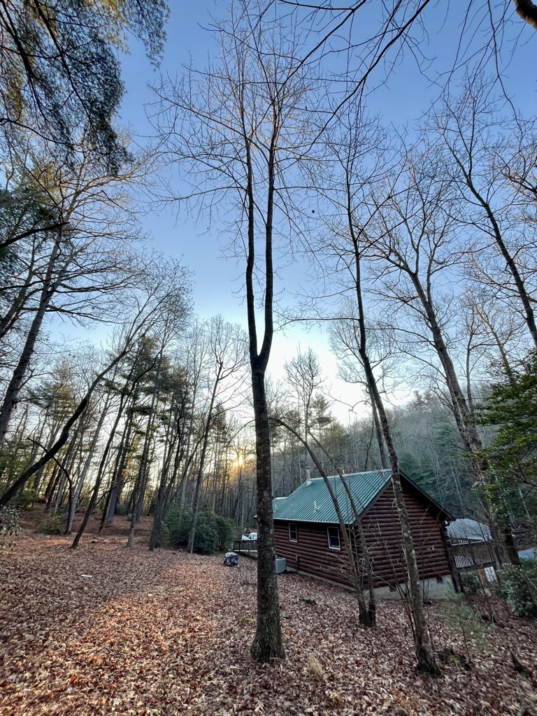Mountain Laurel Cabin - Blue Ridge Mtn Retreat