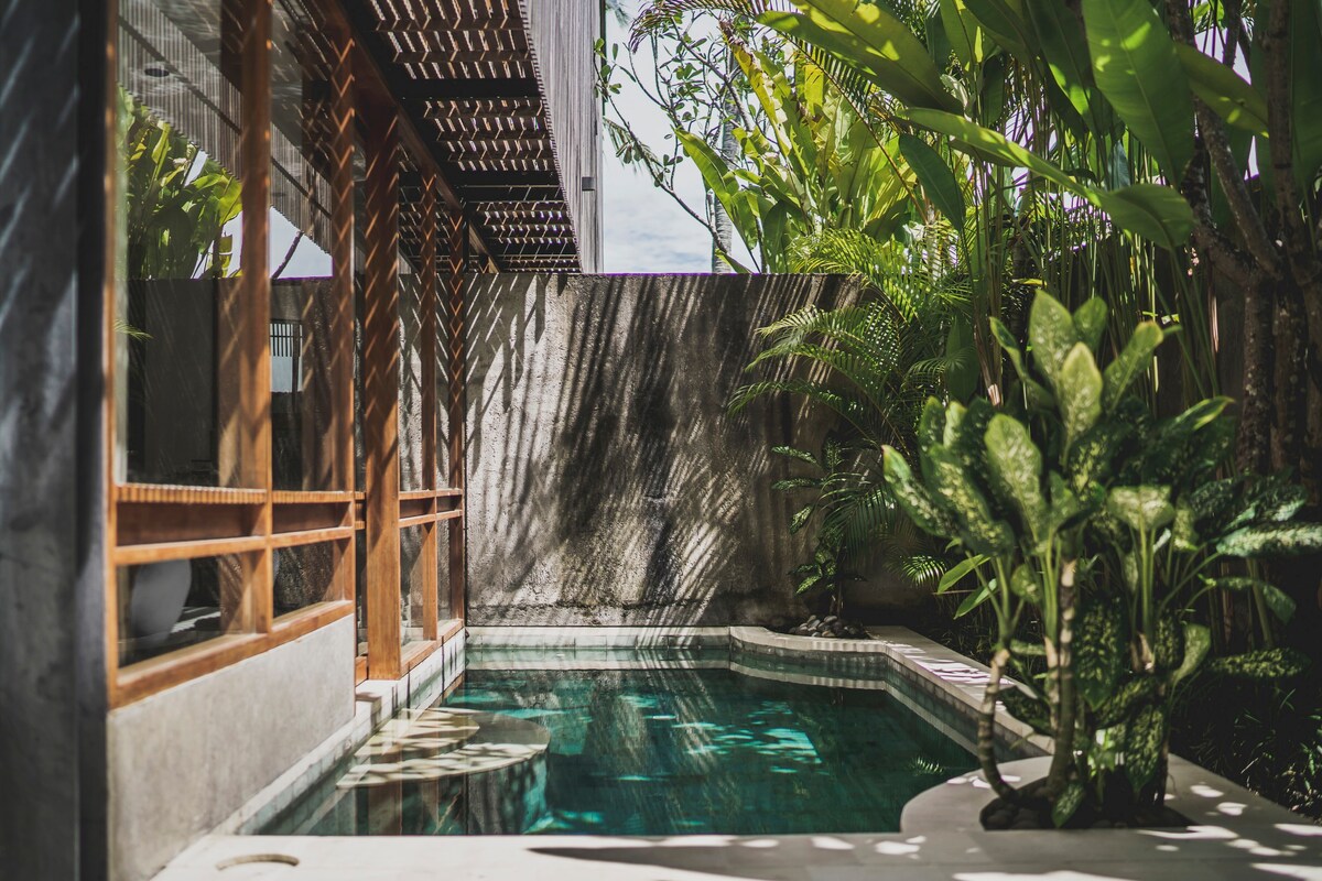 Urban Escape with Pool near Canggu