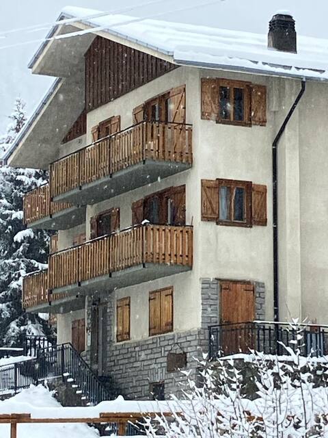 Beautiful Italian Mountain Ski Apartment