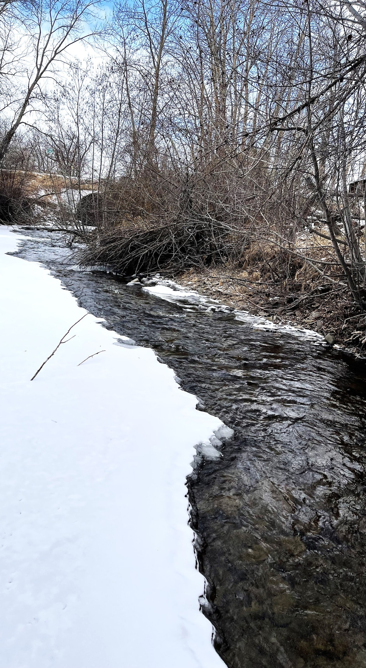 Clyde Park Creekside Cabin