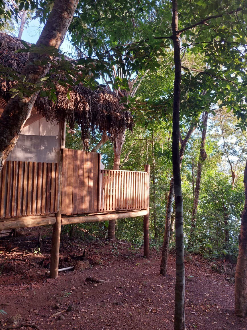 Hetô Lodge - EcoAraguaia Jungle