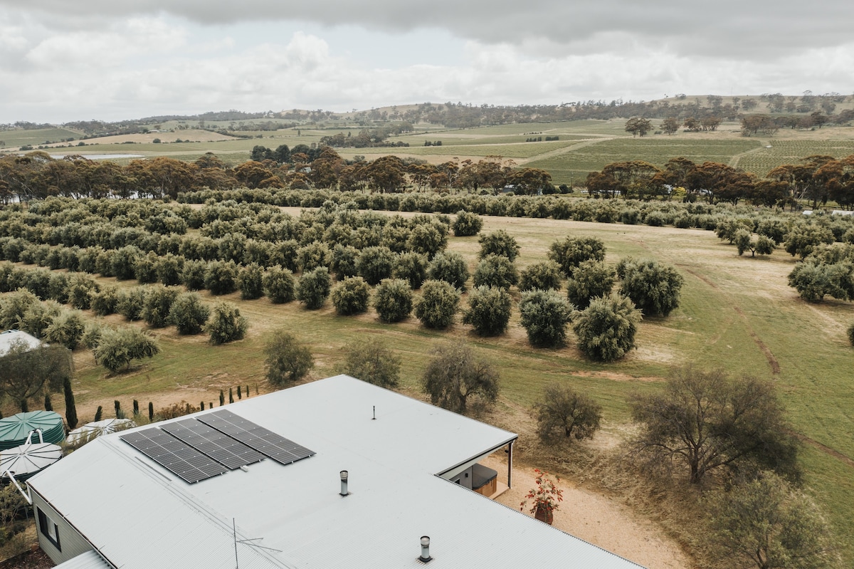 The Olive Farm