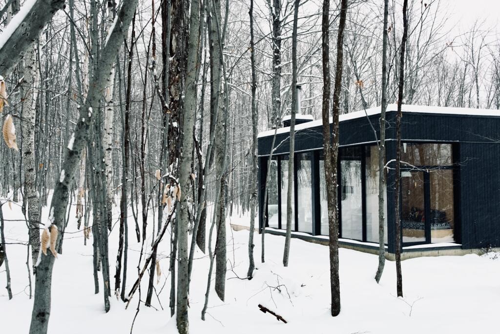 森林中的玻璃小屋。