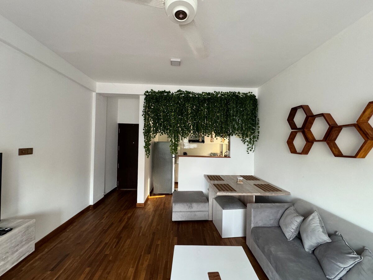 Comfy Apartment in Colombo