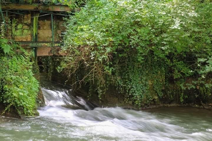 Gite au Bonh'Air