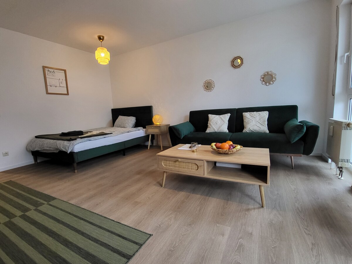 Studio-Priv.Parkplatz-Balkon-Wlan-Netflix-SmartTV