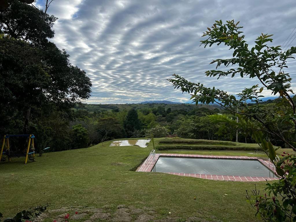 Finca cacaotera con animales