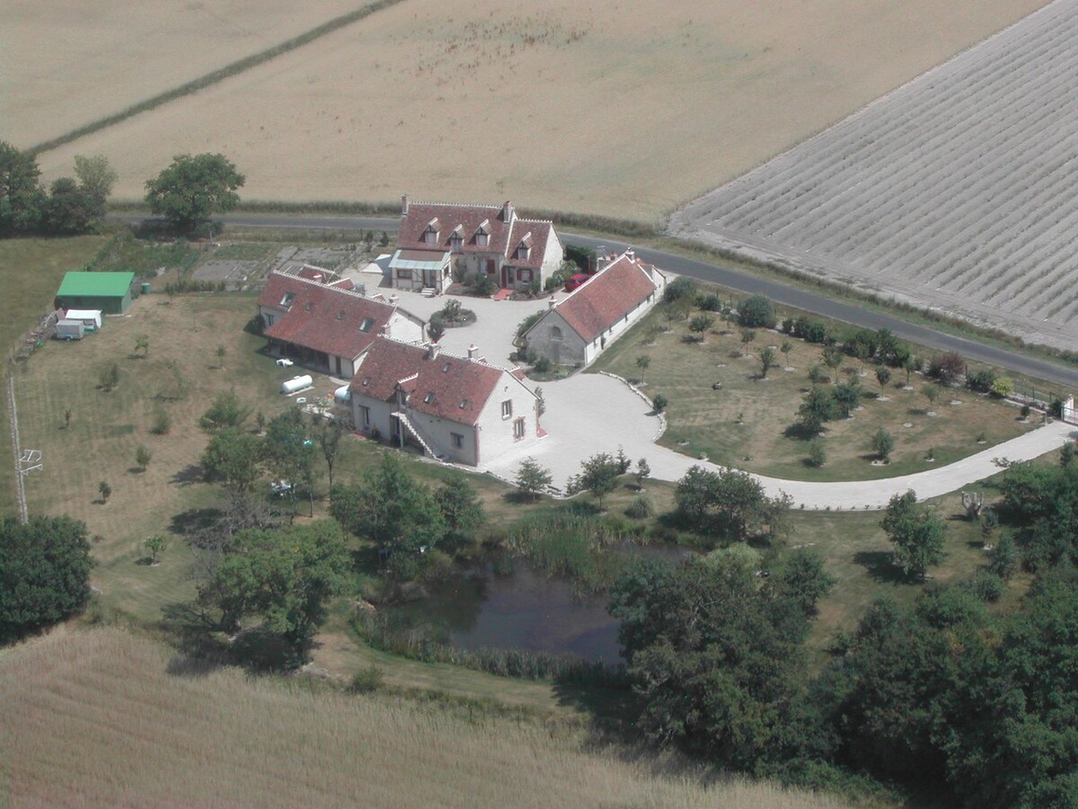 Domaine de la Nigaudière: Châteaux & Beauval