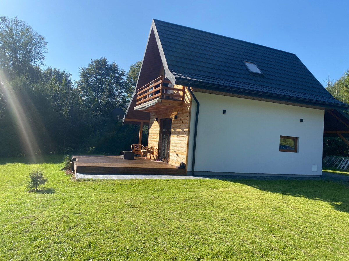 Bieszczady Dom Nad rzeczką opodal krzaczka