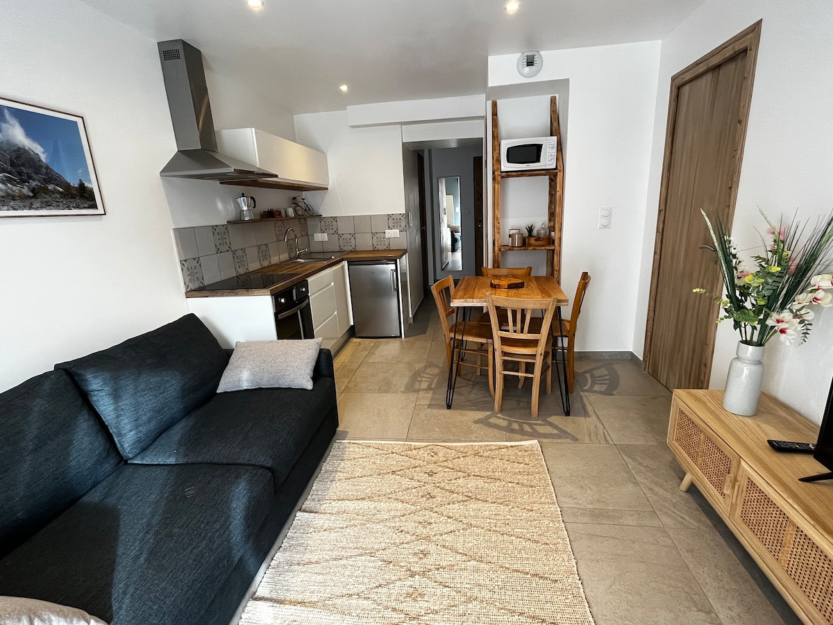 Appartement St Julien Montdenis