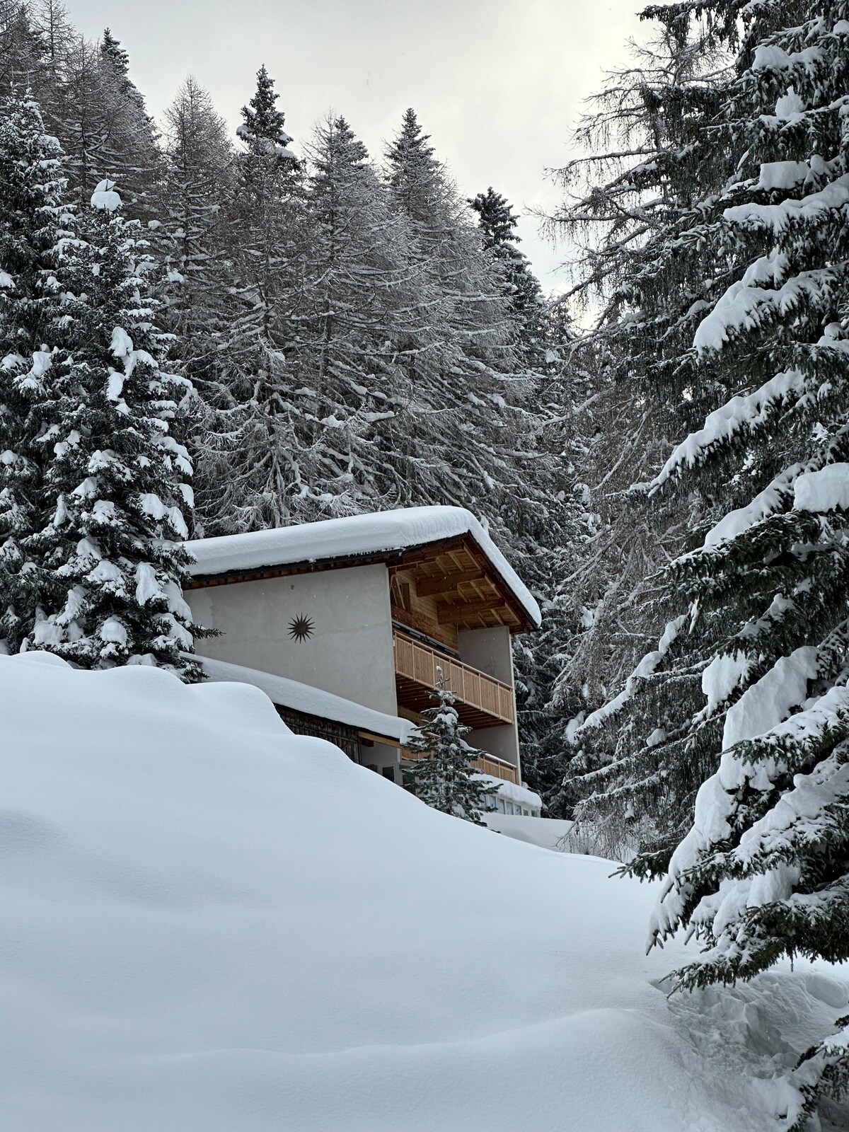Chalet for WEF