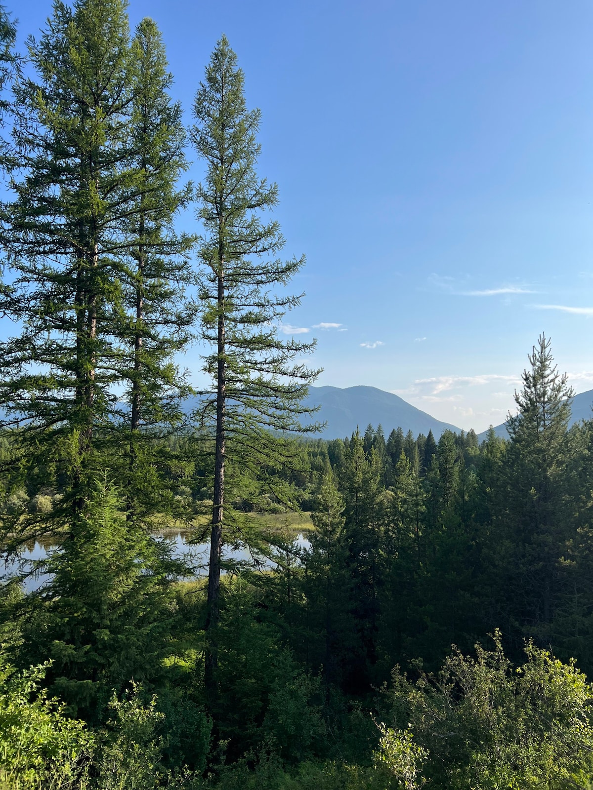 冰川附近欣赏树顶小木屋，欣赏美景