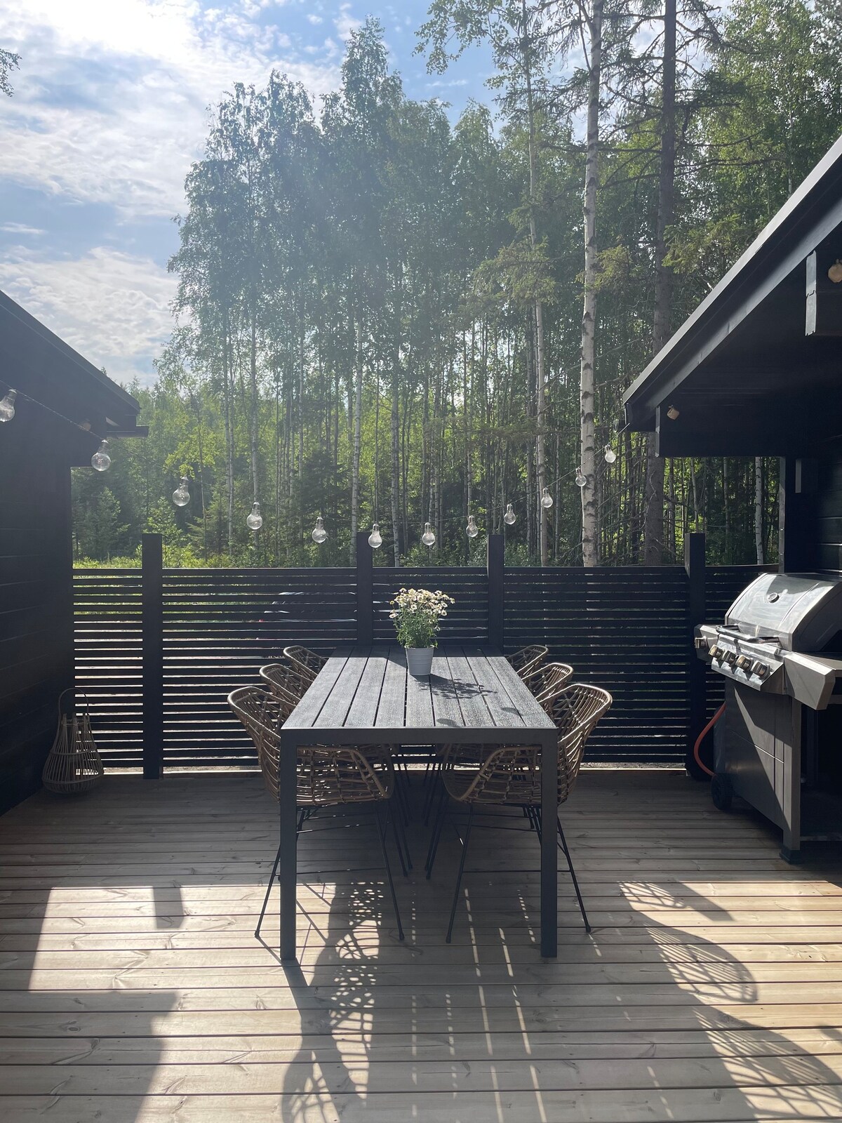 Cottage + sauna, by the Pielisjoki river in Eno