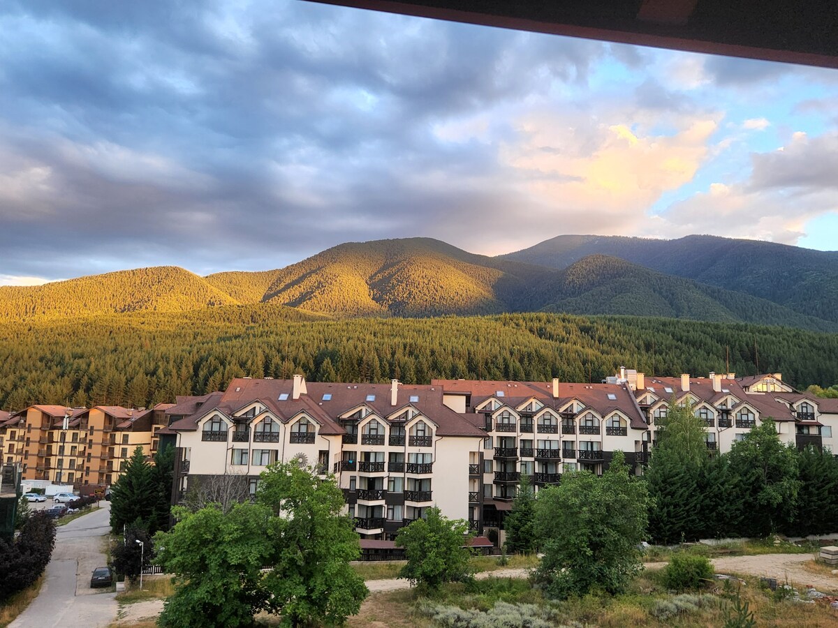 Apartment Pirin Lodge