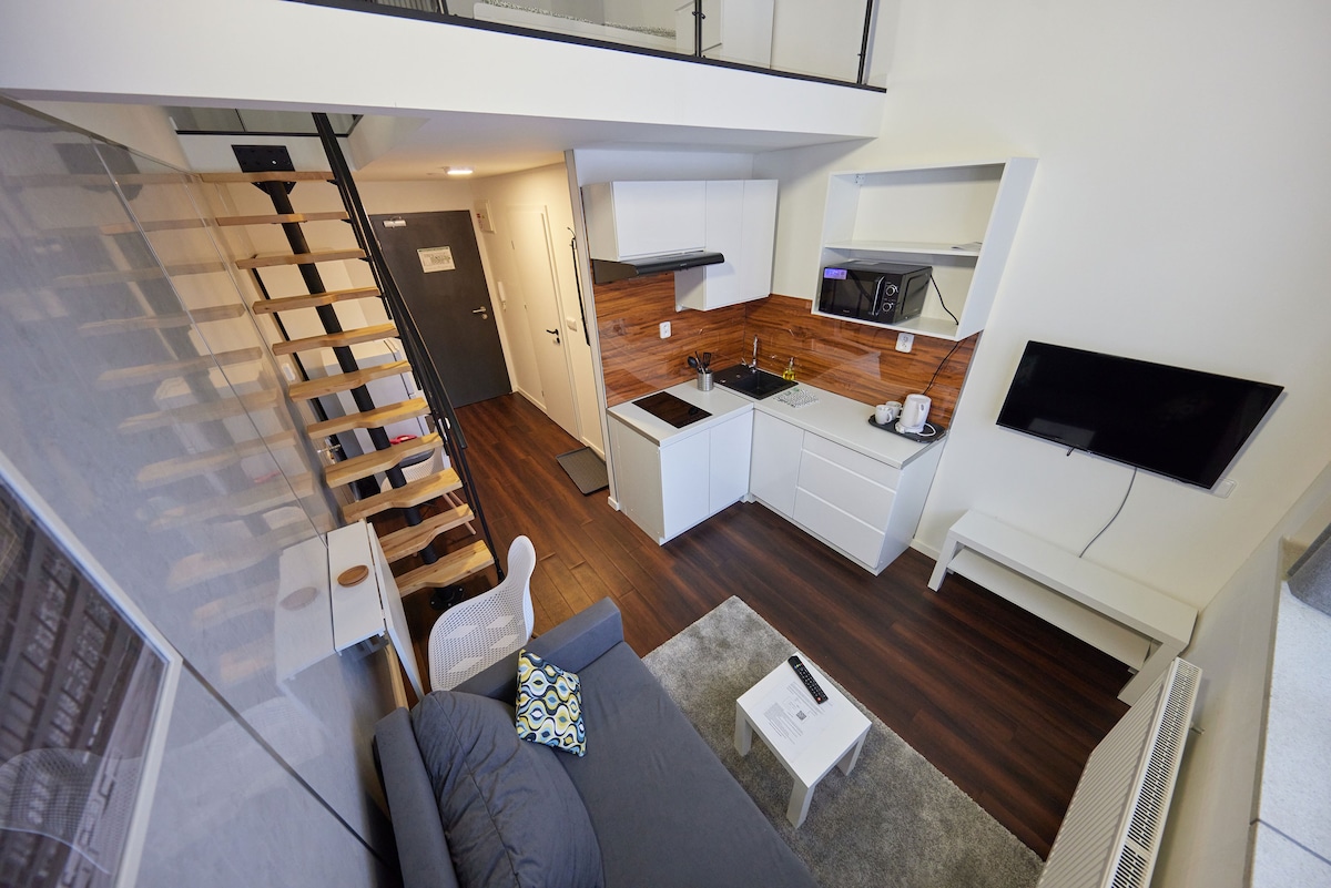 Standard Loft Apartment