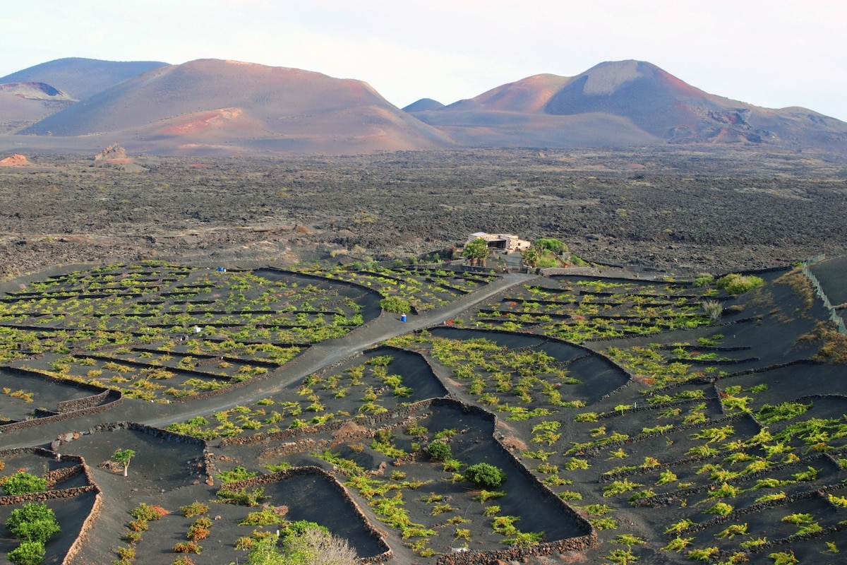 Casa Rural Vega de Timanfaya