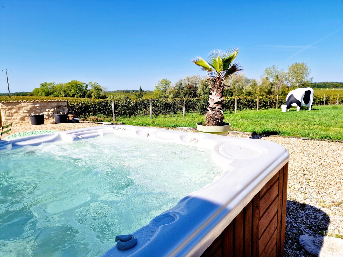 Escapade au coeur des vignes 14 pers Jacuzzi & AC