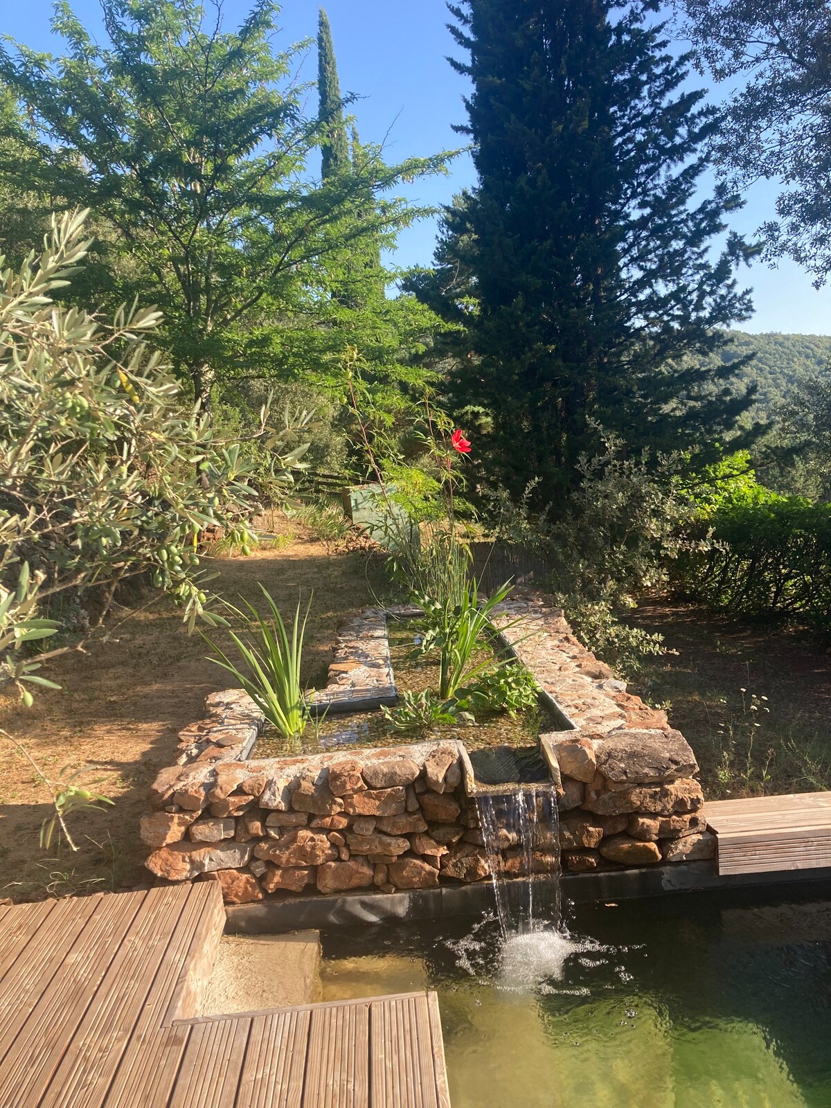 Mas "Altéas", en Cévennes, avec piscine naturelle