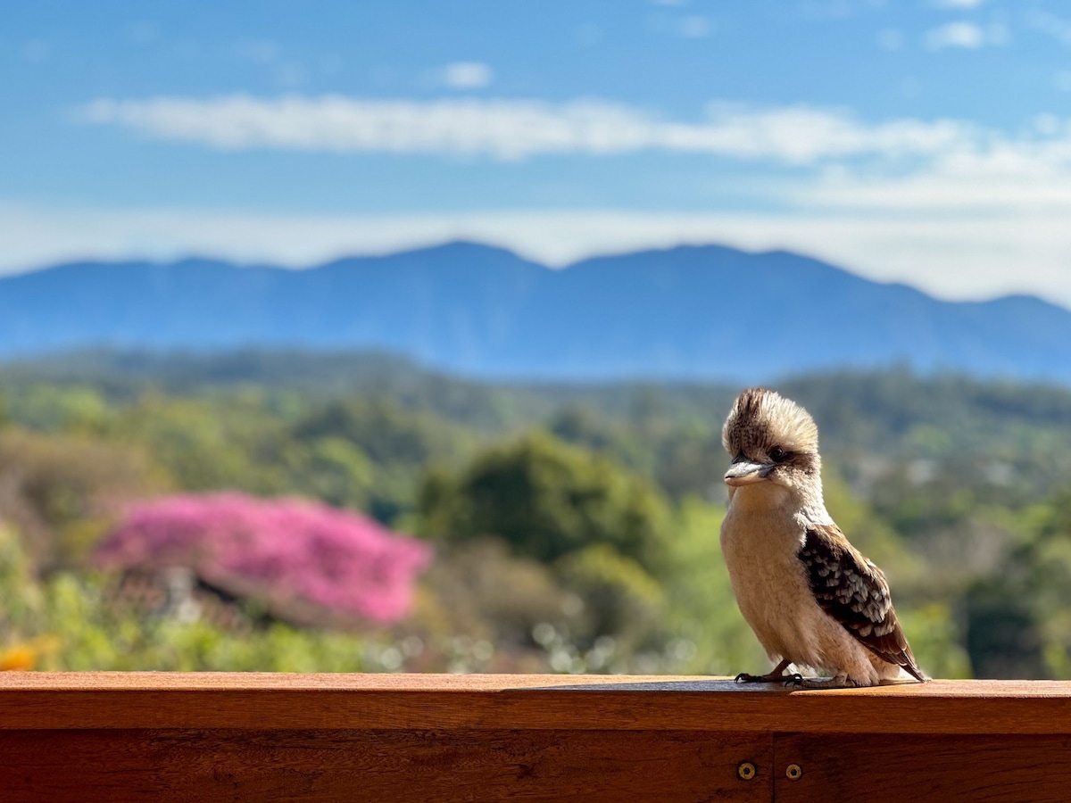 Kookaburra's Nest