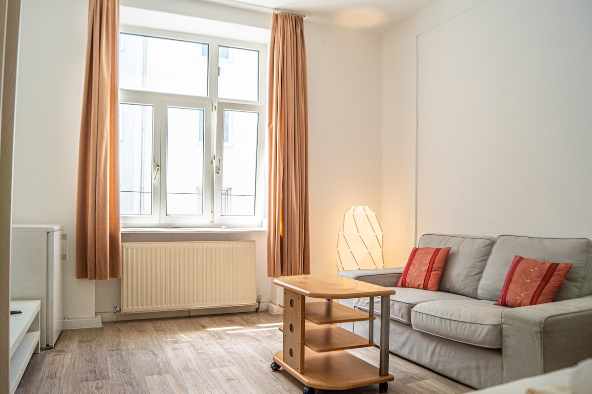 Lovely Private Room in shared apt. w/ Smart TV