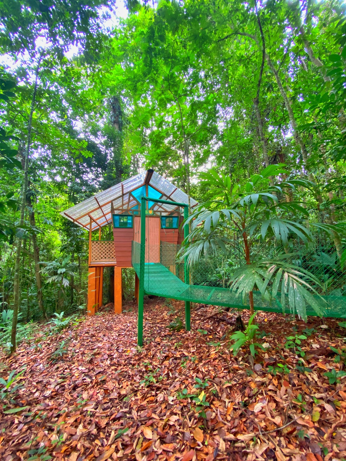 Unique Retreat in the Jungle!