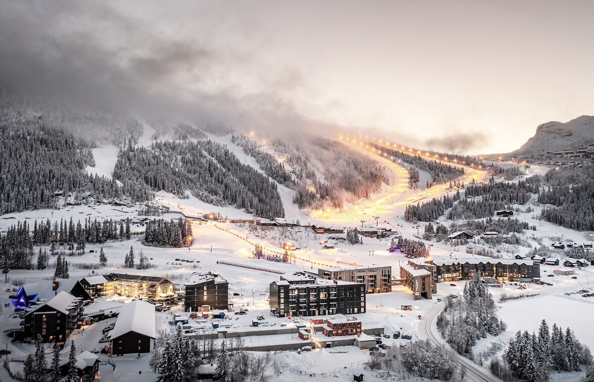 Ny! Leilighet Fjellandsbyen Hemsedal Skisenter