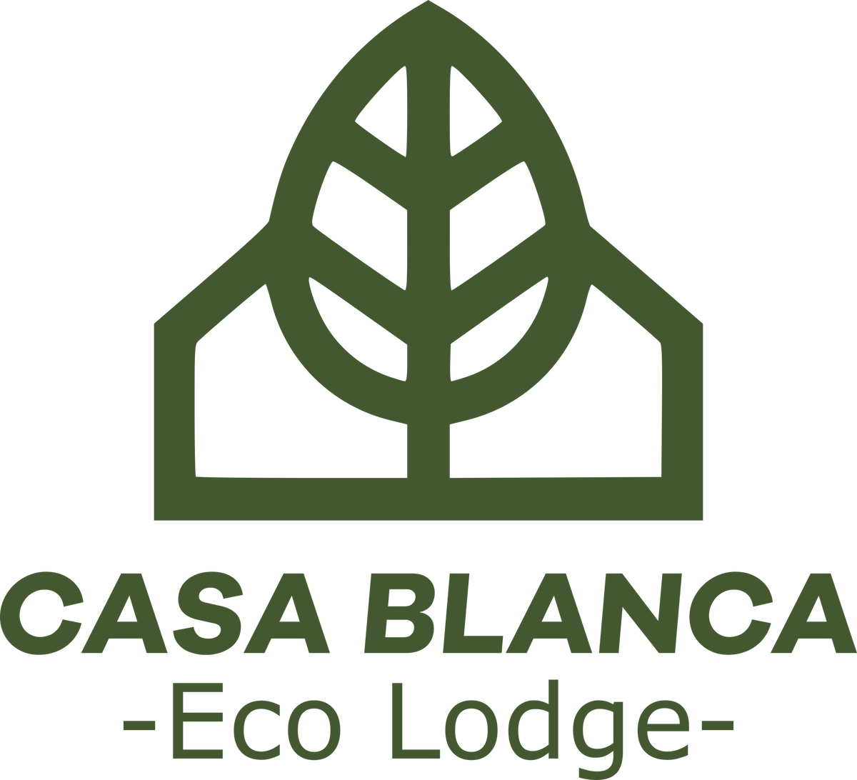 Eco Lodge - River View
