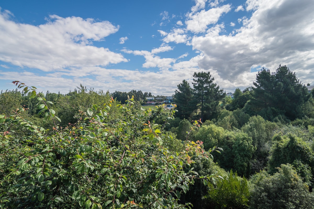 Scenic Views Apartment