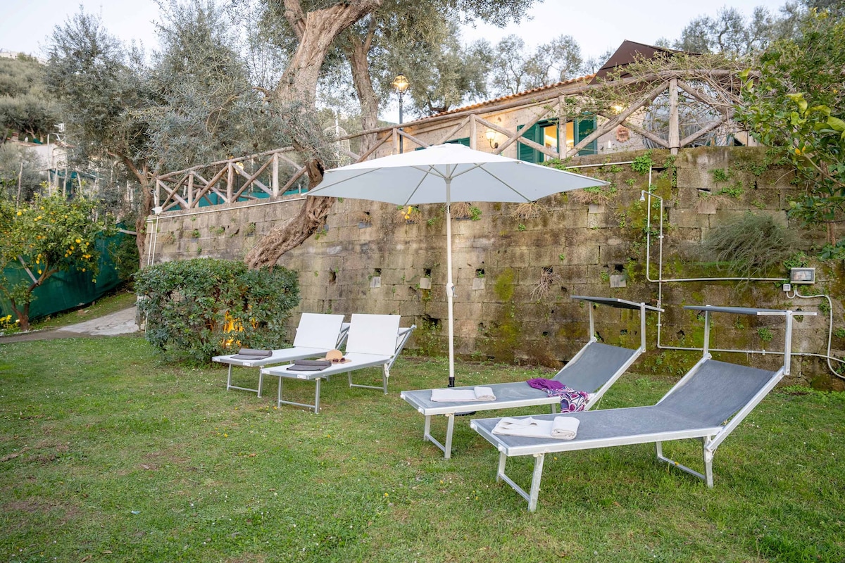 Spacious villa with garden&spa