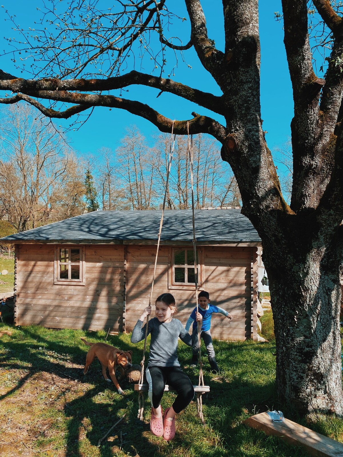 Chalet chaleureux en campagne