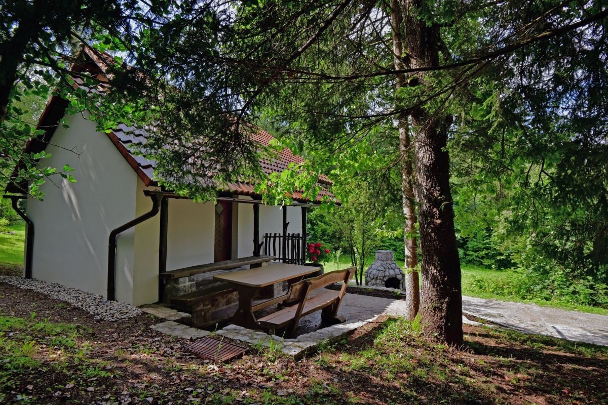 Forest House, Green and Peaceful