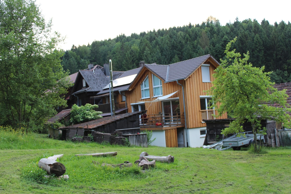 Haus am Wald im hinteren Mettelbach