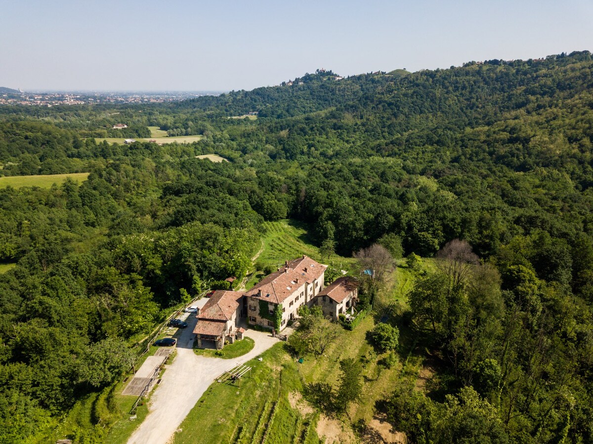 Appartamento Lavanda