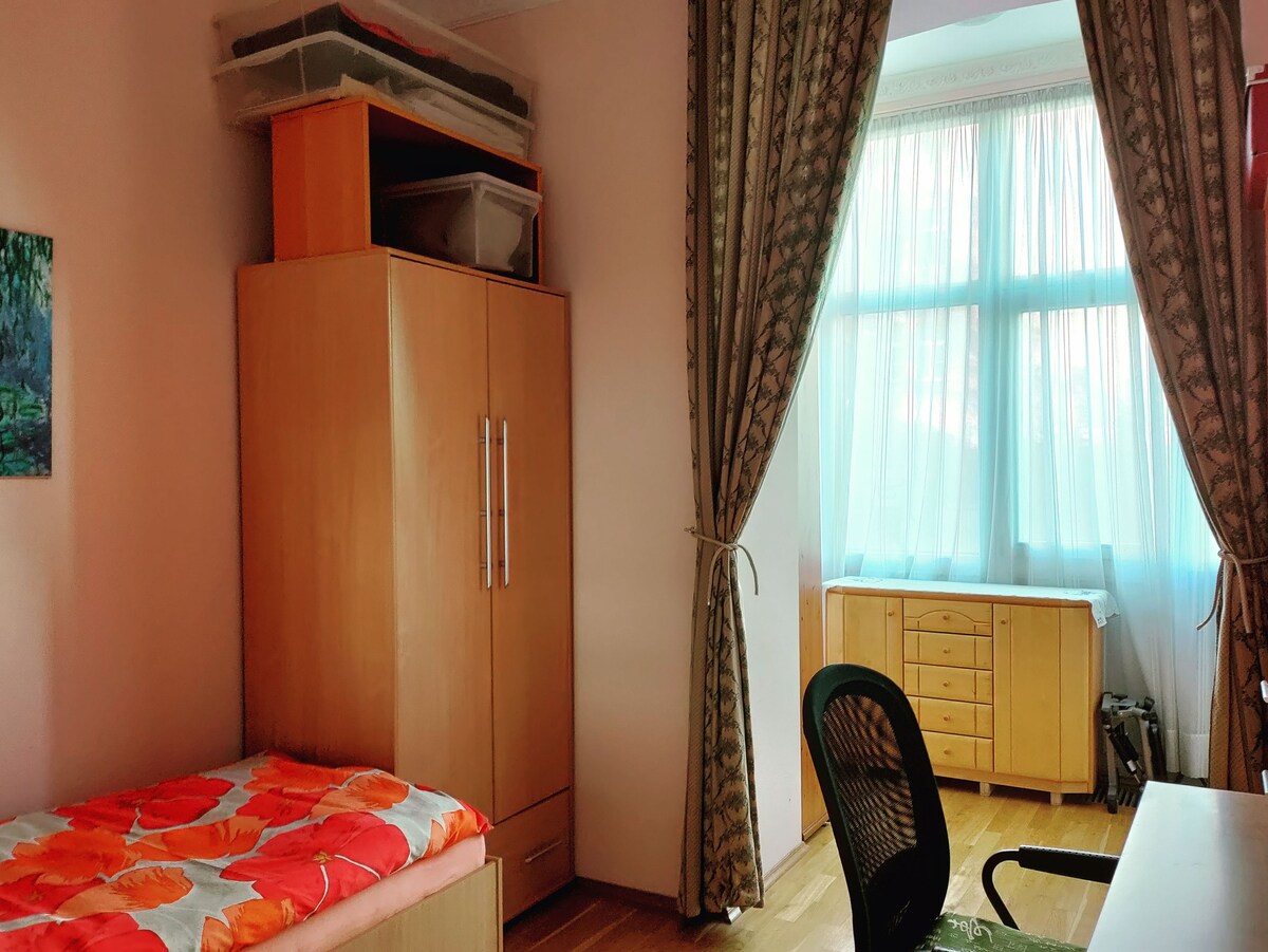 Convenient Room in Prague