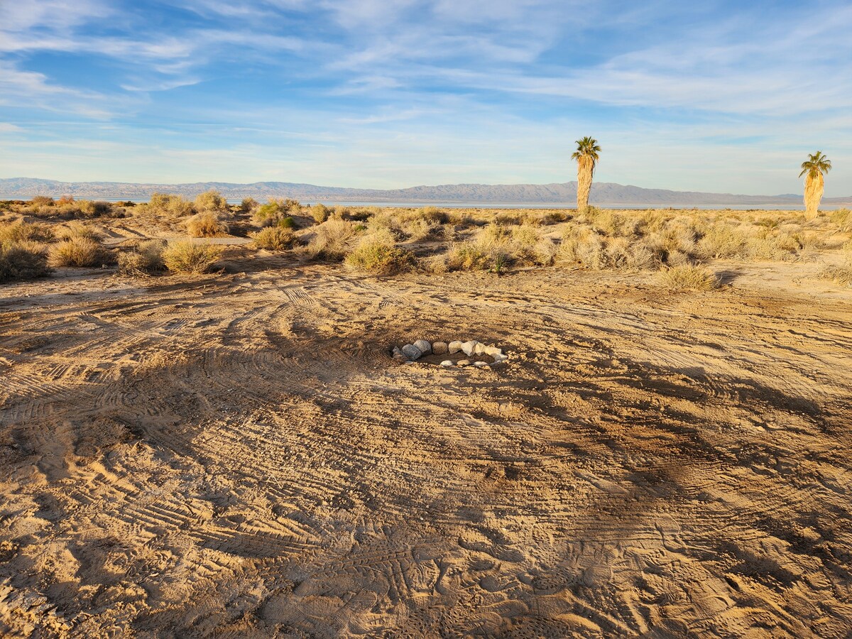 Salton Sea Sanctuary