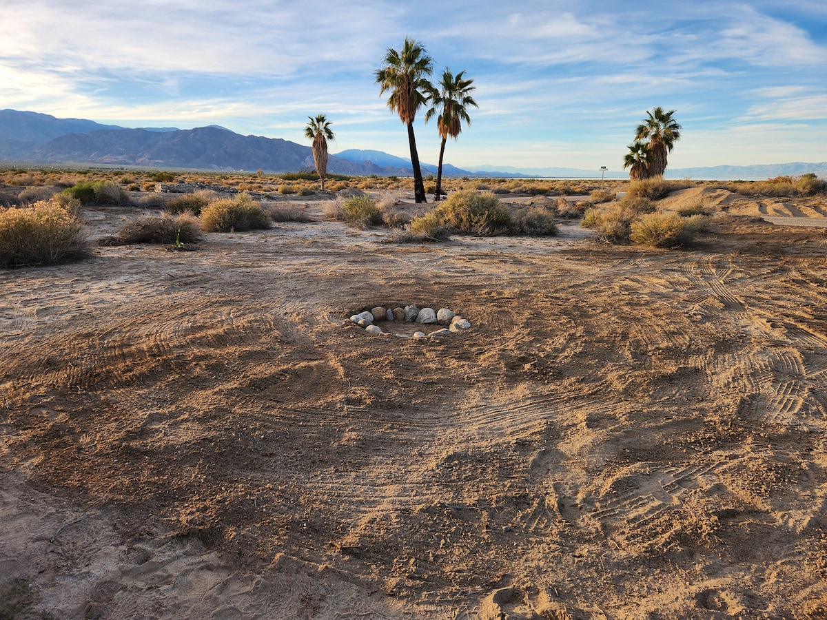 Salton Sea Sanctuary