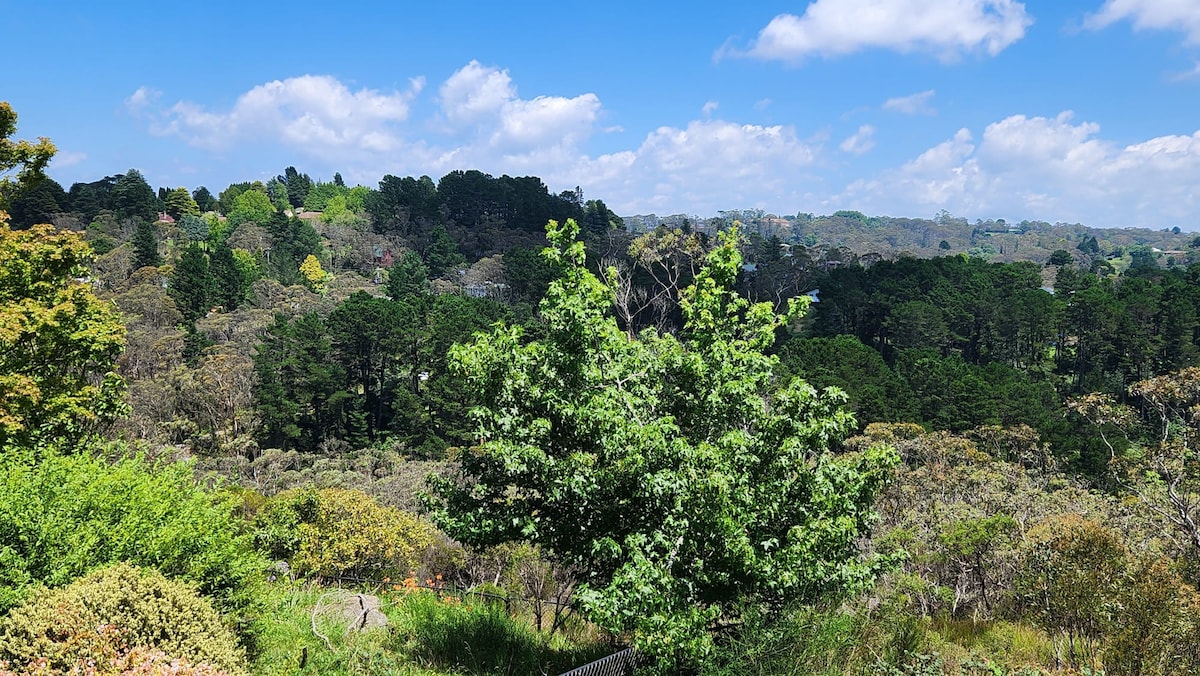 Blue Mountains Scenic Retreat