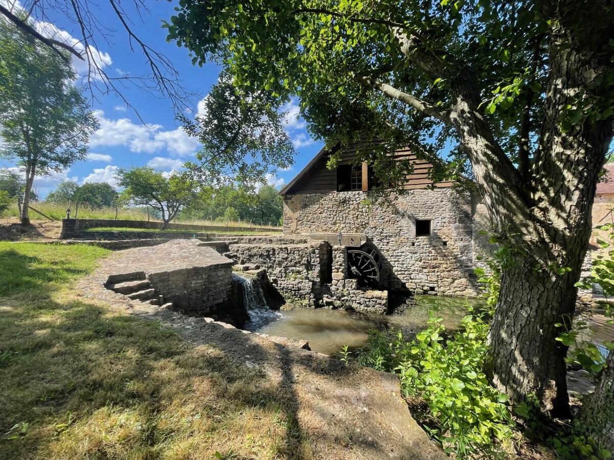 Le Moulin du Ray 12 Couchages