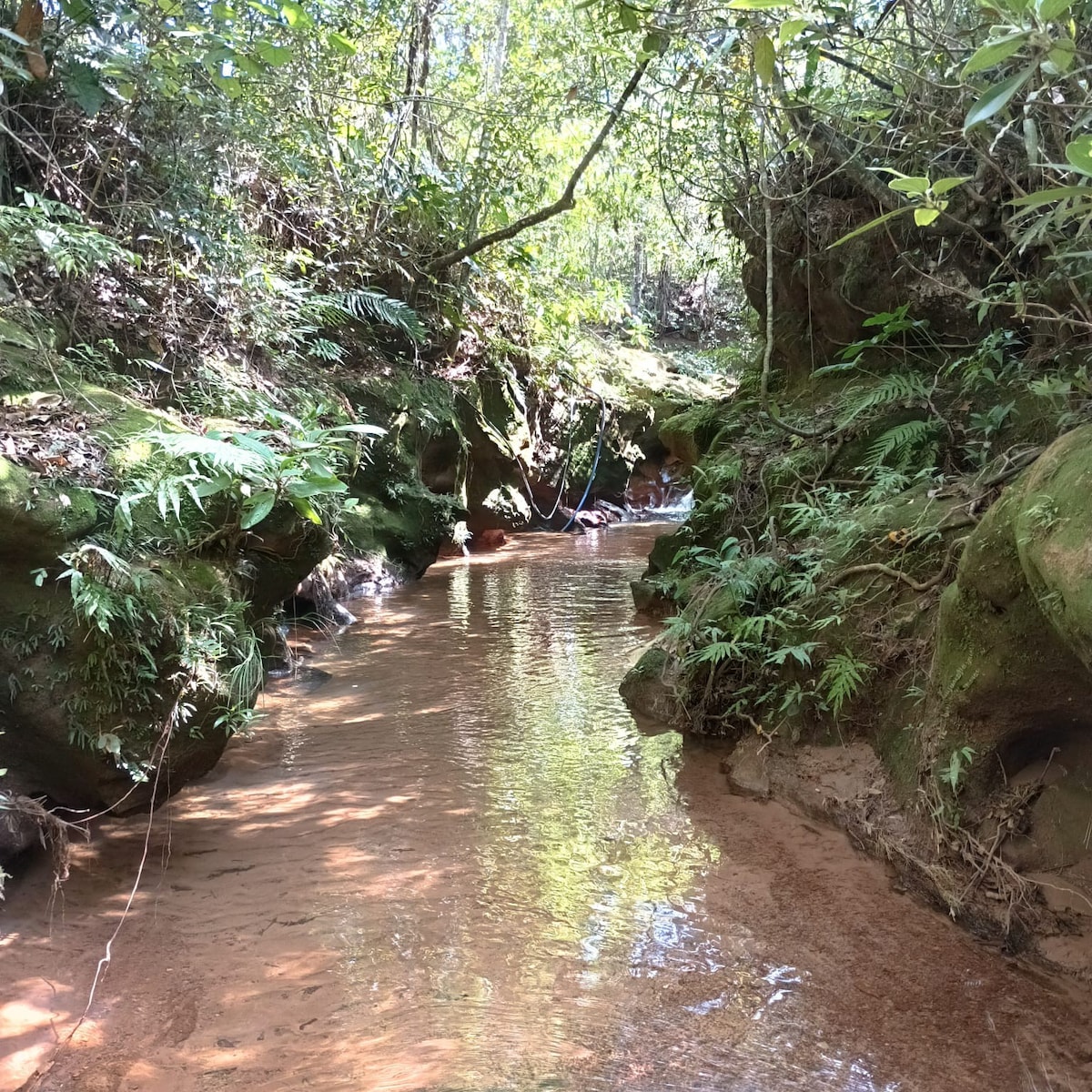 Estância Sonho Verde