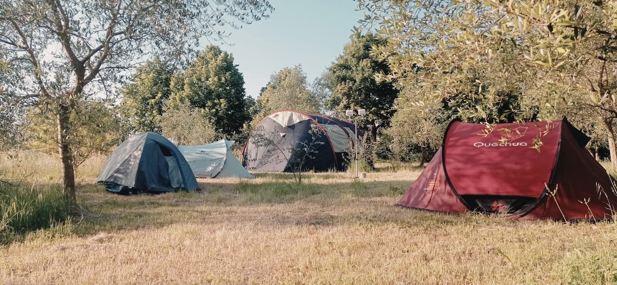 Camping zona Cervia - natura arte e mare
