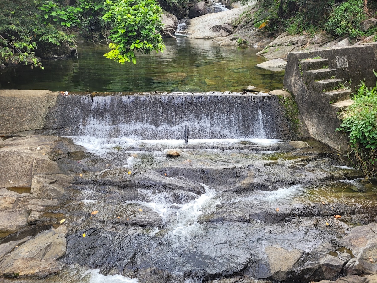 "Villa del Bosque"