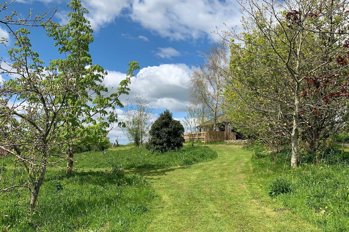 Woodpecker Lodge: A Pet Friendly Rural Retreat